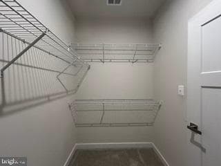 8034 Spring Arbor Drive photo 17