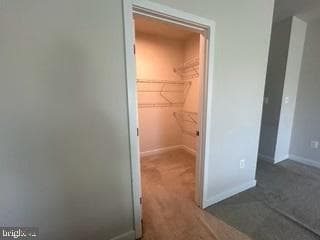 8034 Spring Arbor Drive photo 18
