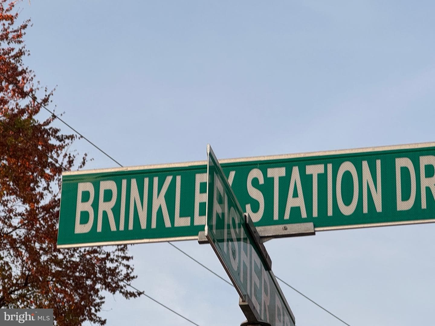 3103 Brinkley Station Drive photo 40
