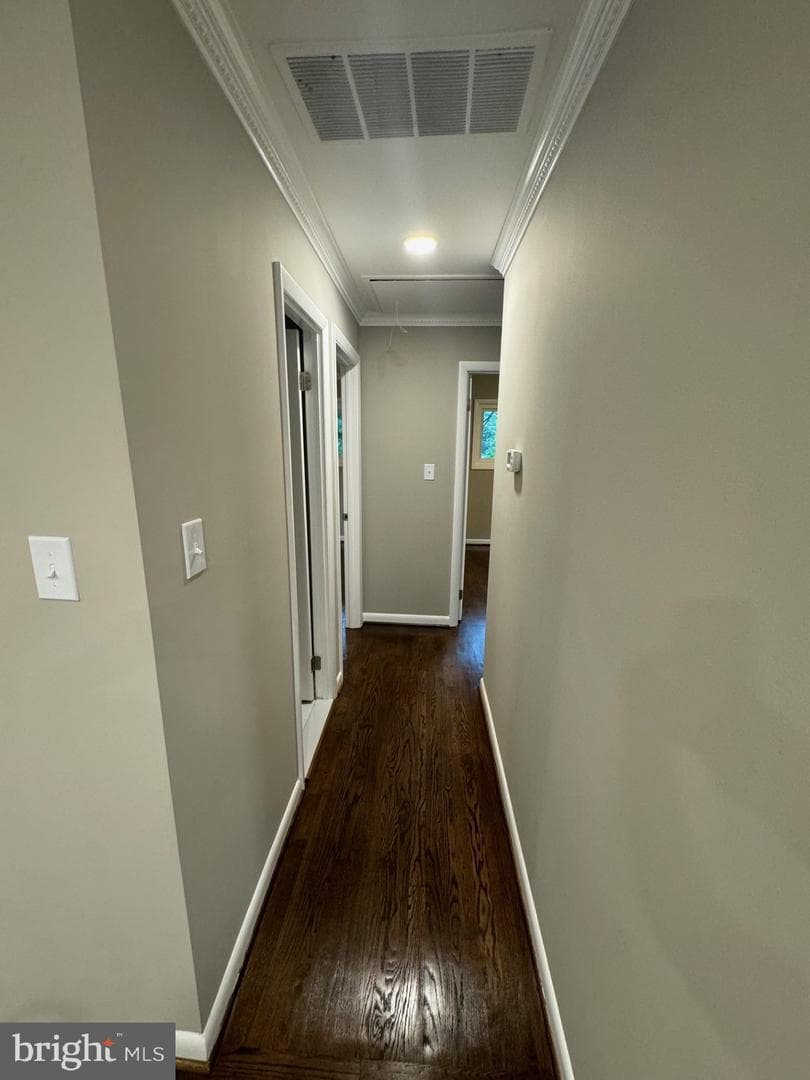 6902 Mackson Drive photo 13