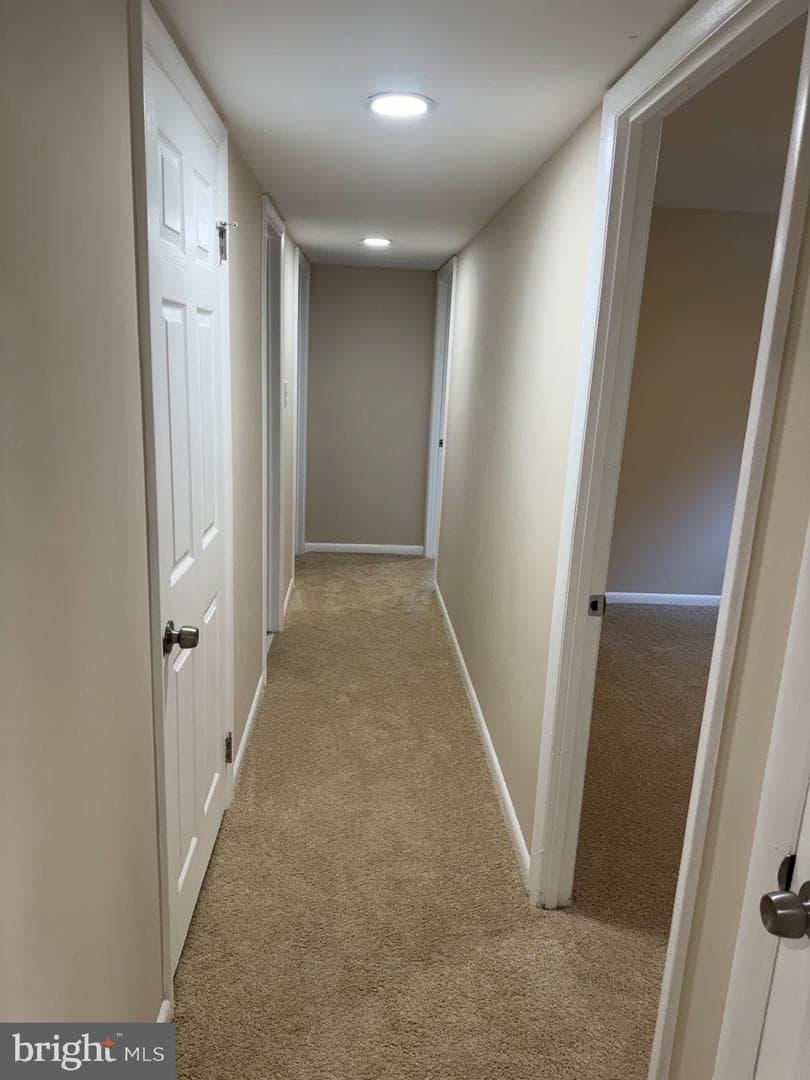 6902 Mackson Drive photo 24