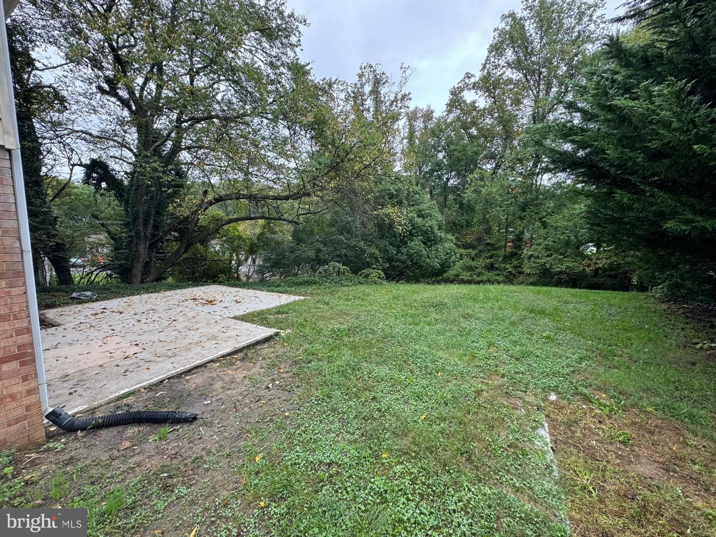 6902 Mackson Drive photo 31