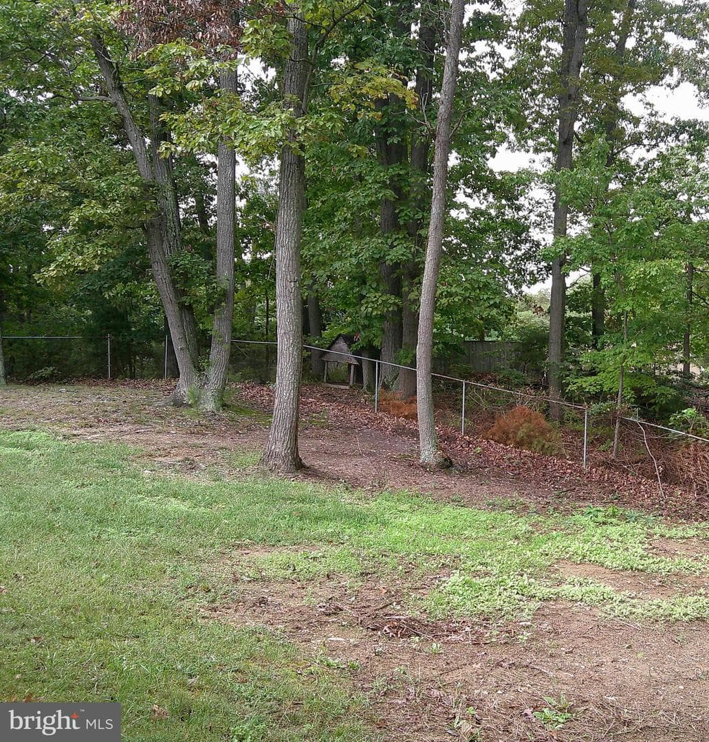 10311 Musket Court photo 30