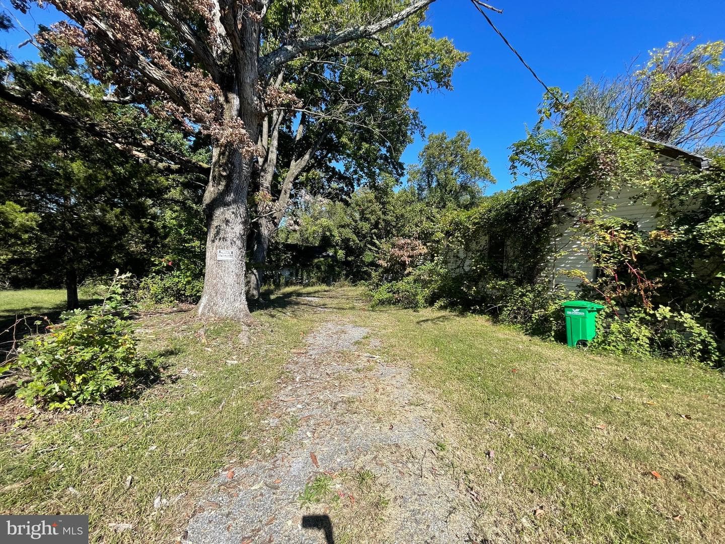 1515 Rollins Avenue photo 2