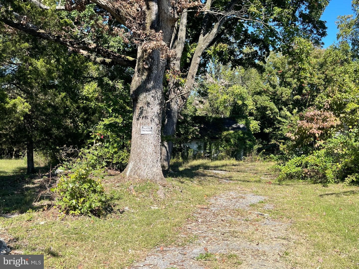 1515 Rollins Avenue photo 3