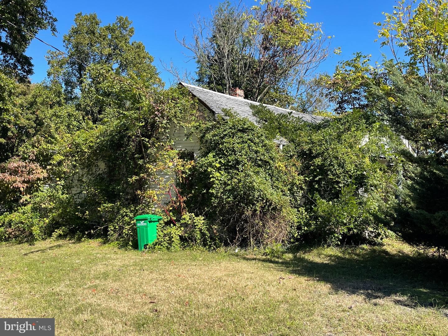1515 Rollins Avenue photo 4