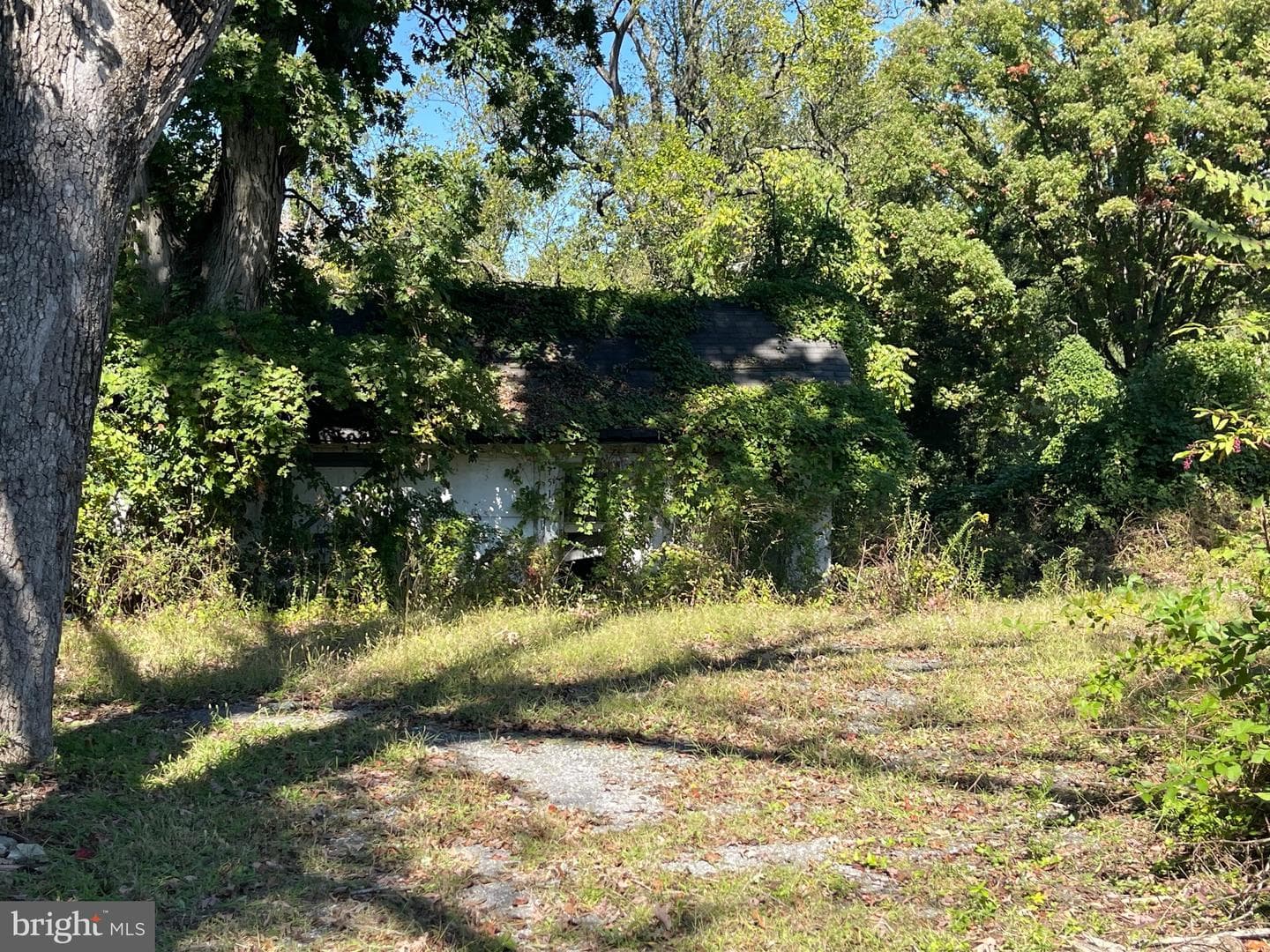 1515 Rollins Avenue photo 6