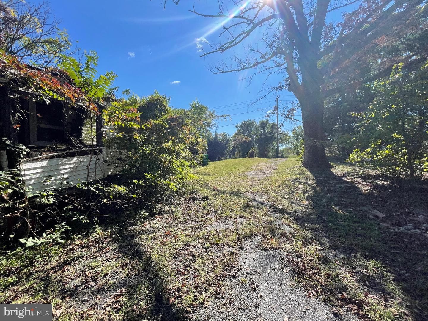 1515 Rollins Avenue photo 8