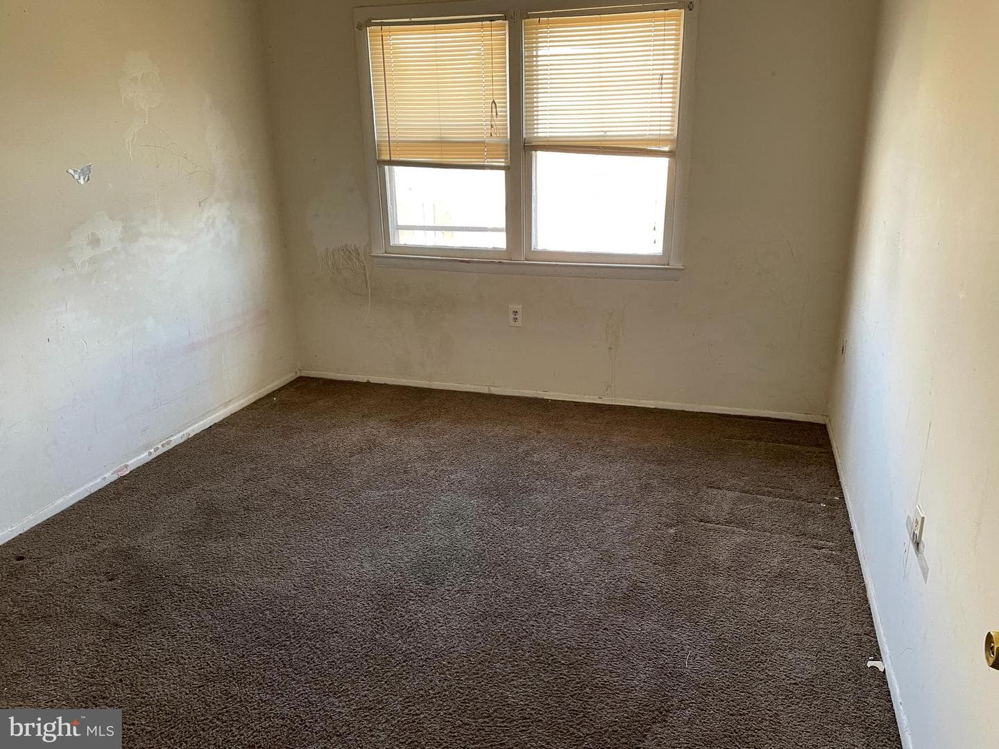 6338 Bentham Court photo 9
