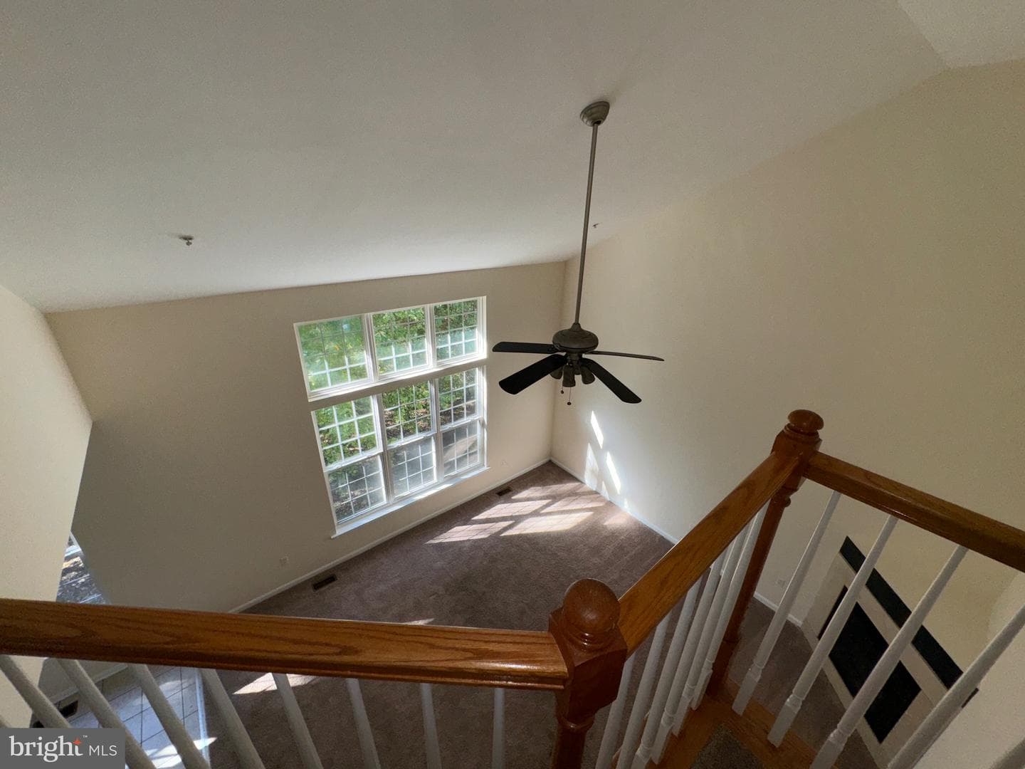 6004 Bradley Lane photo 43