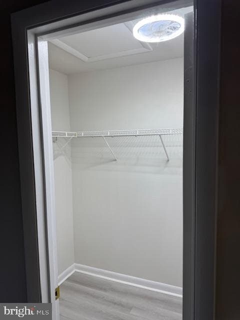 1105 Windemere Court photo 18