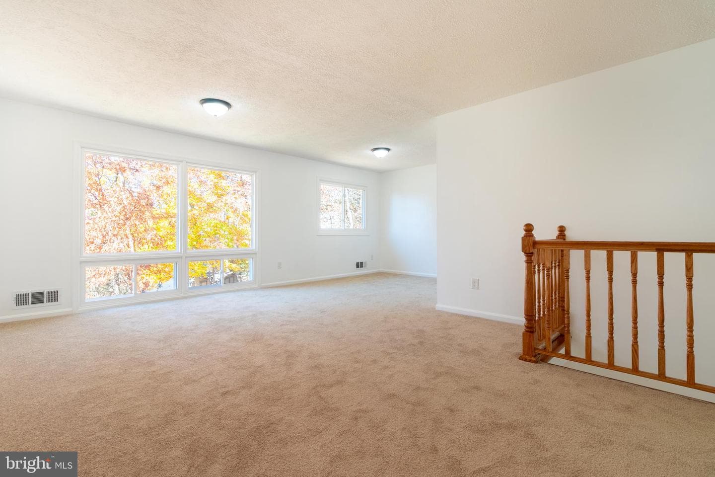 101 White Birch Court photo 11