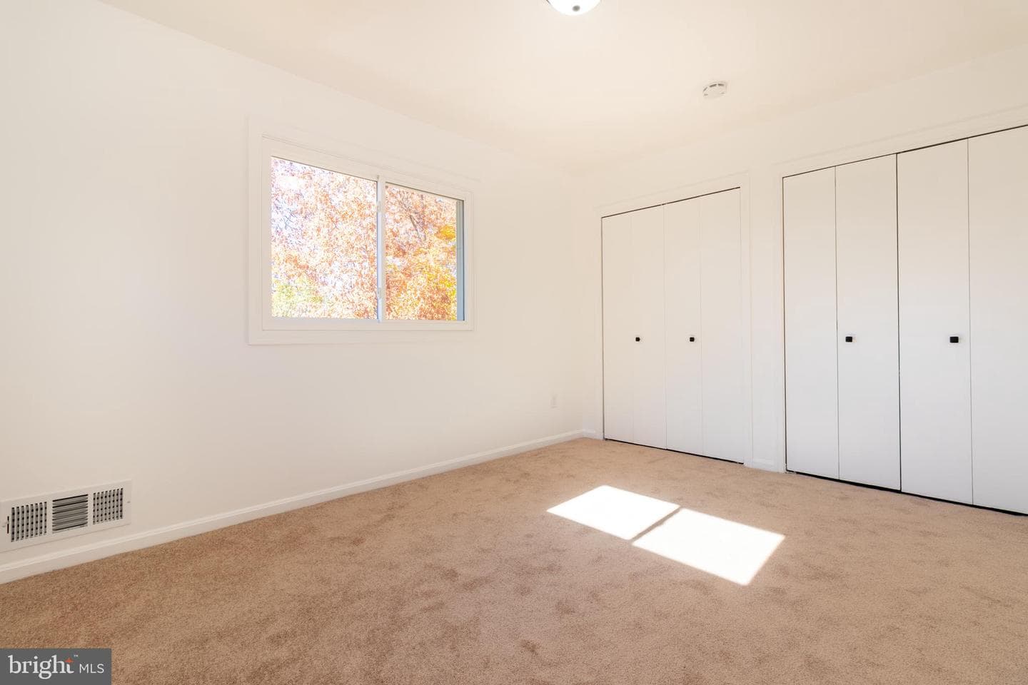 101 White Birch Court photo 12