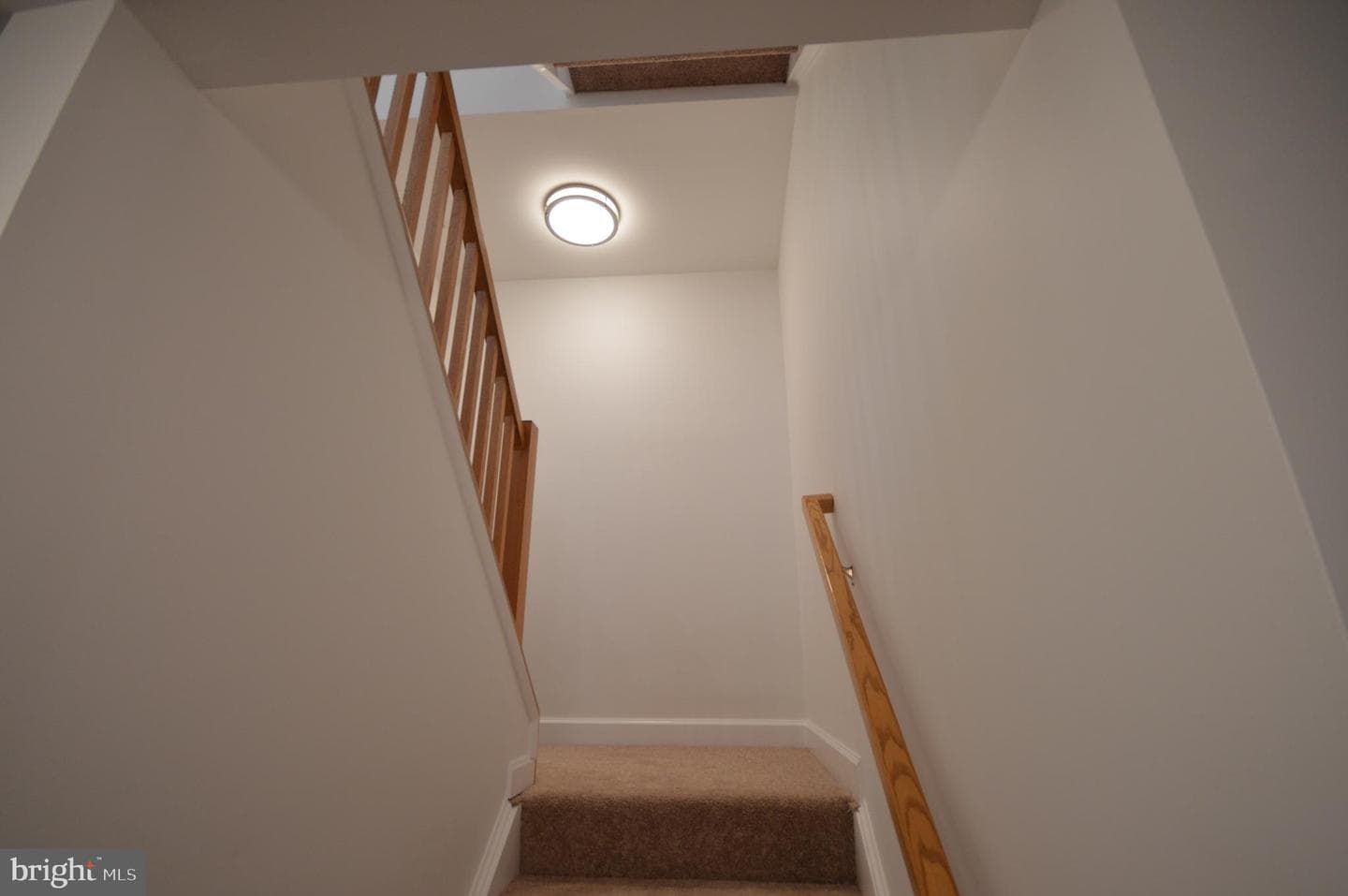 7200 Goblet Court photo 45