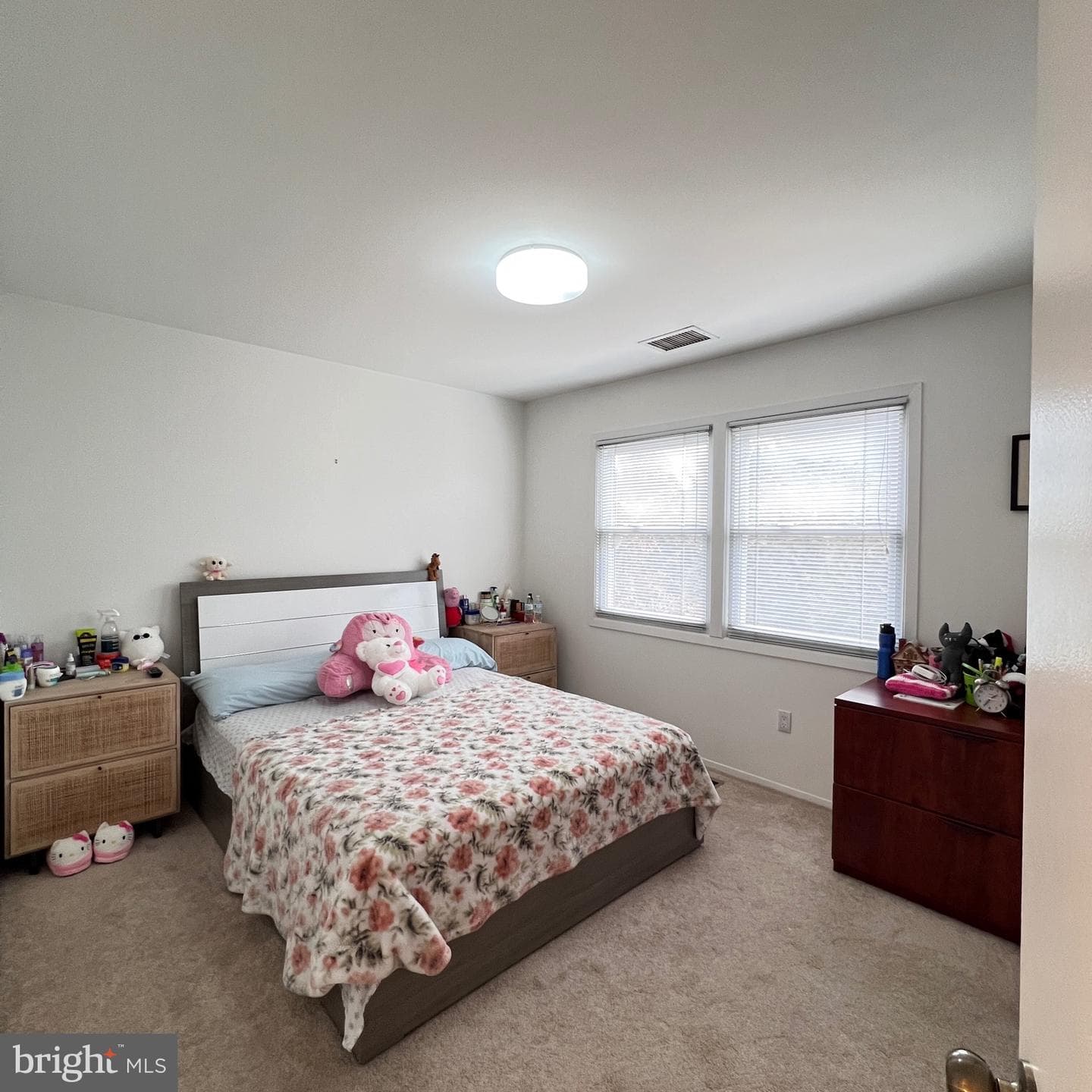 1007 Packton Lane photo 17