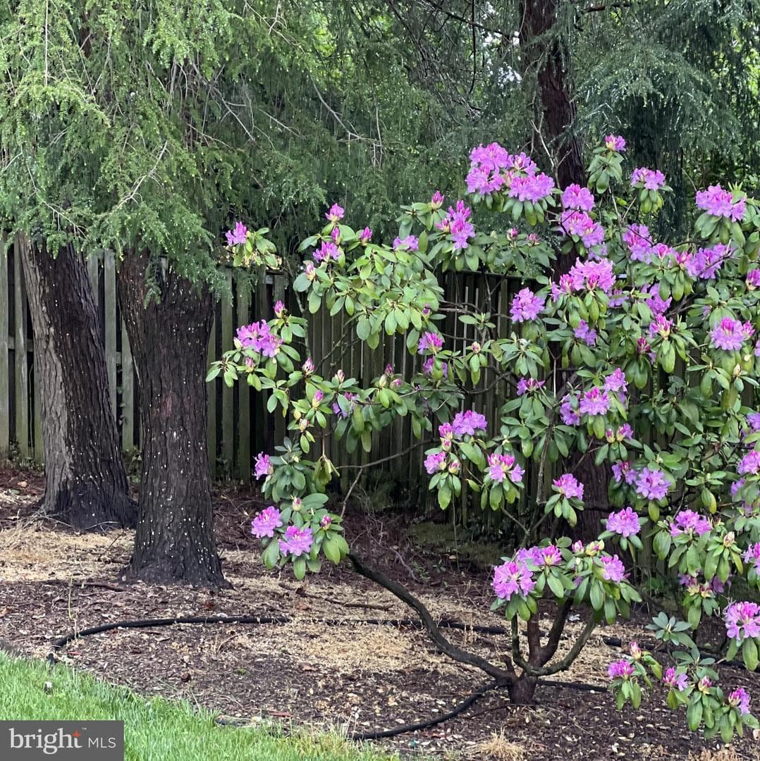 1007 Packton Lane photo 44
