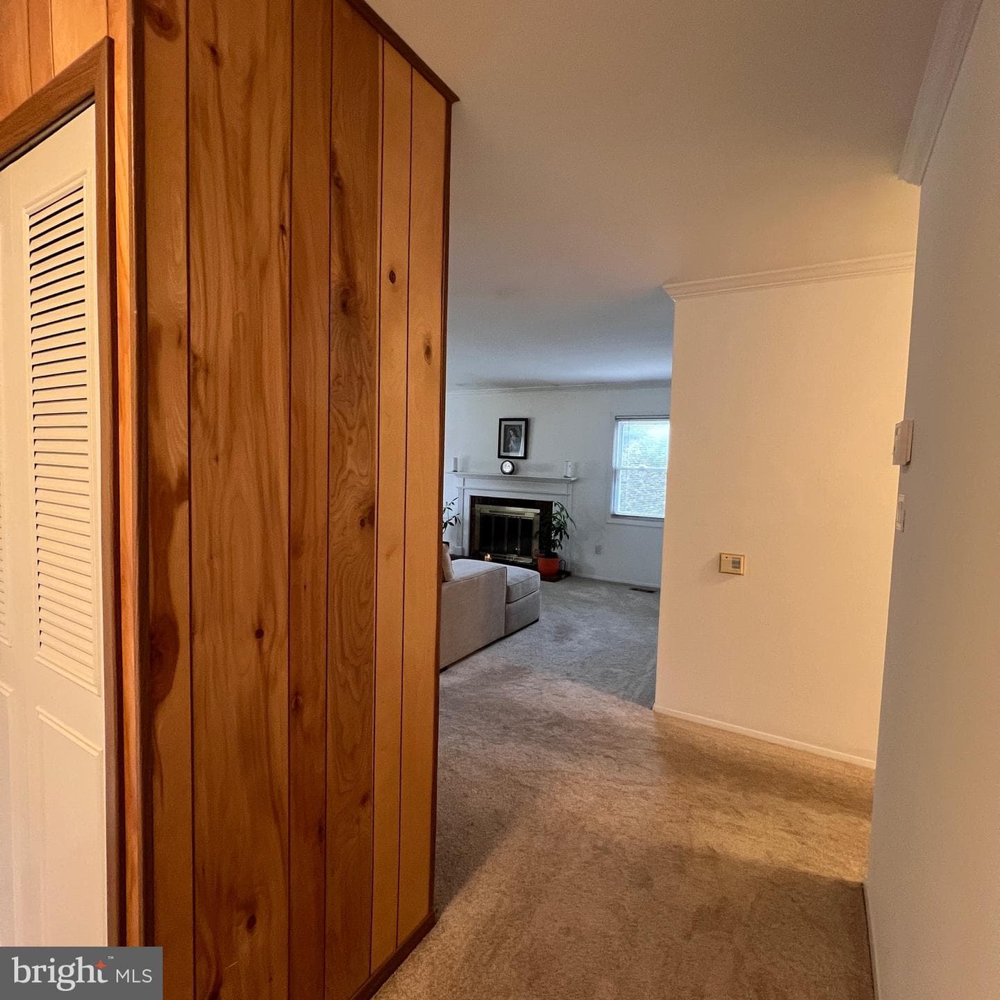 1007 Packton Lane photo 7