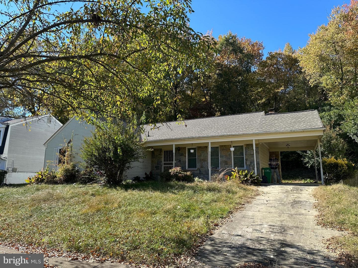 11607 Olympic Drive