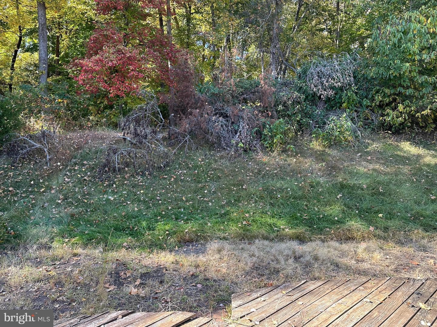 11607 Olympic Drive photo 21