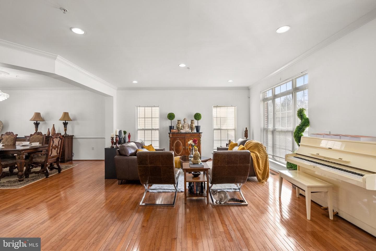 10018 Erion Court photo 6