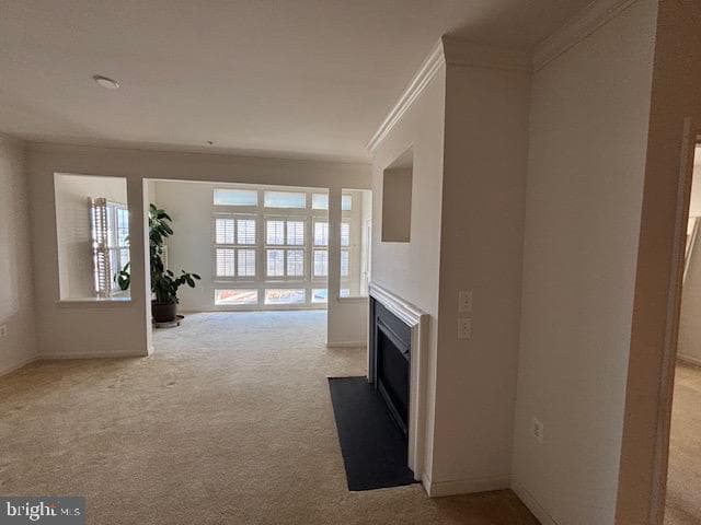 12916 Fox Bow Drive #407 photo 16