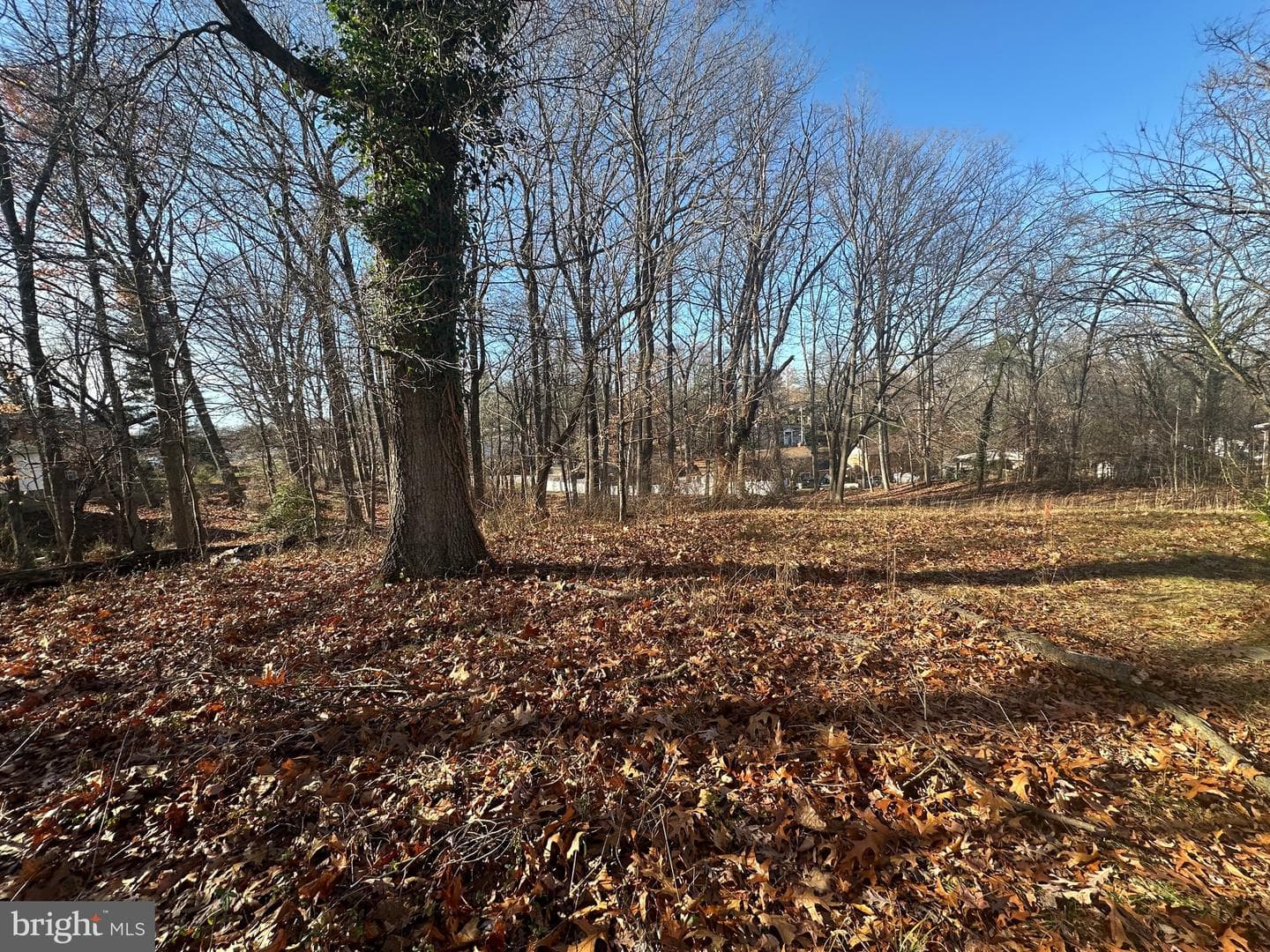 6814 Temple Hill Road photo 19