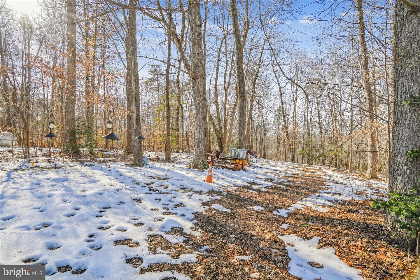 16006 Tanyard Road photo 15