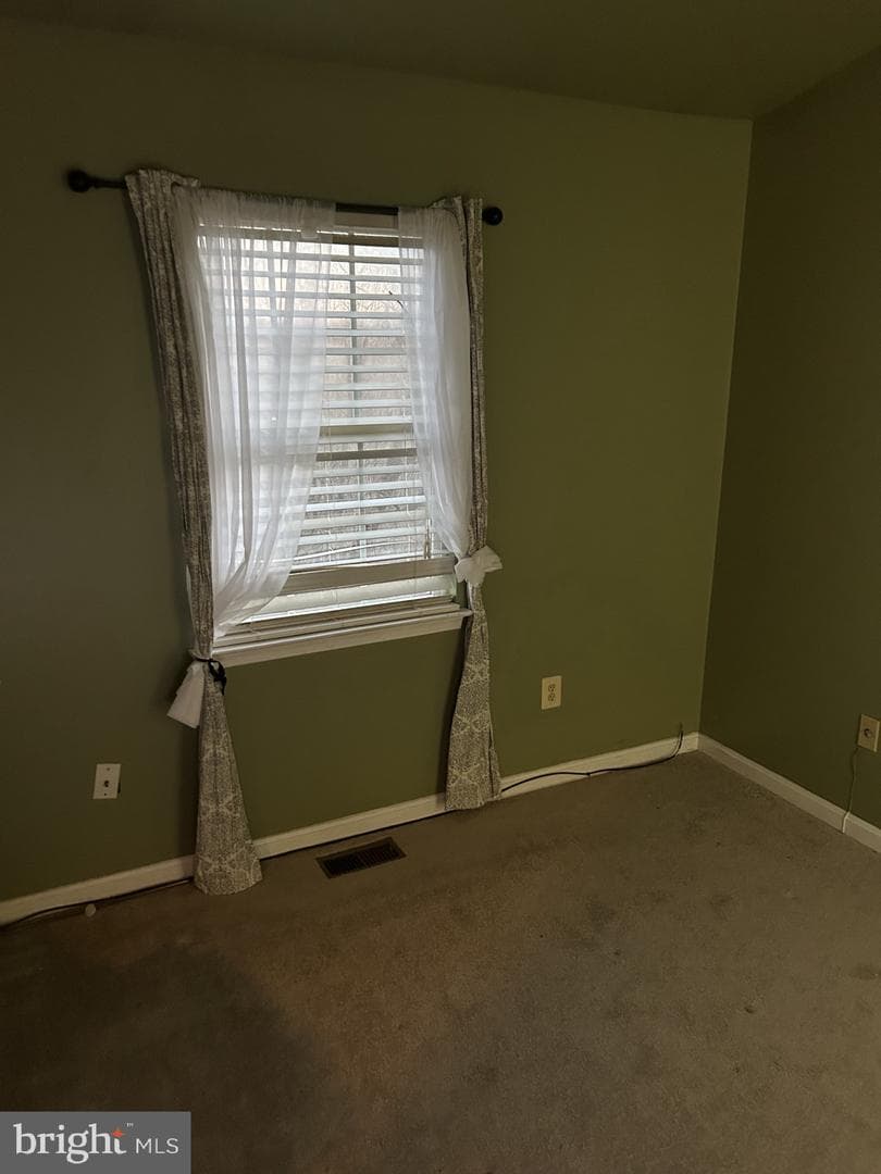 4912 Wall Flower Way photo 10