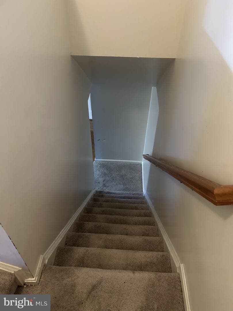 4912 Wall Flower Way photo 15