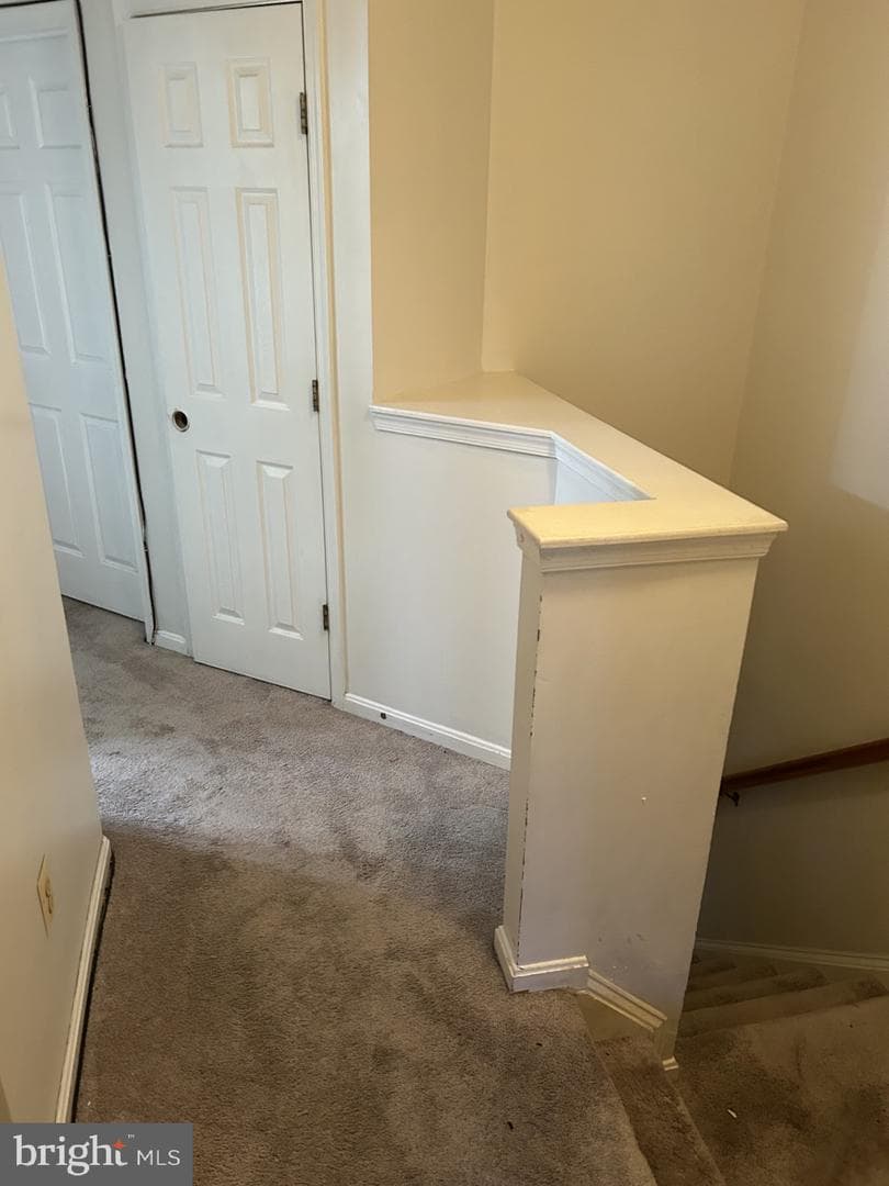 4912 Wall Flower Way photo 7