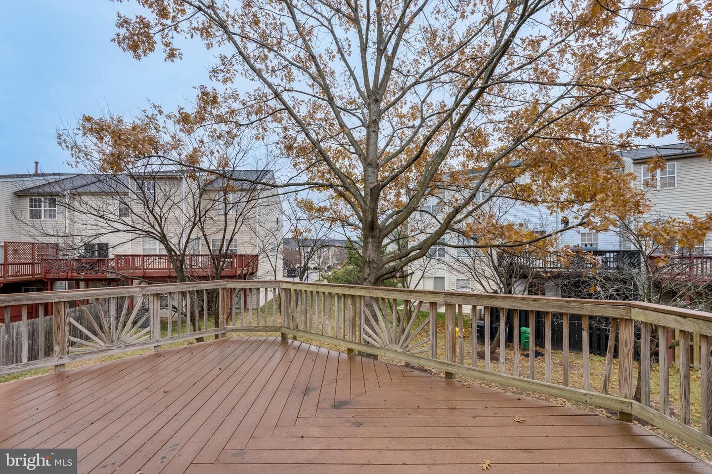 4113 Windflower Way photo 45