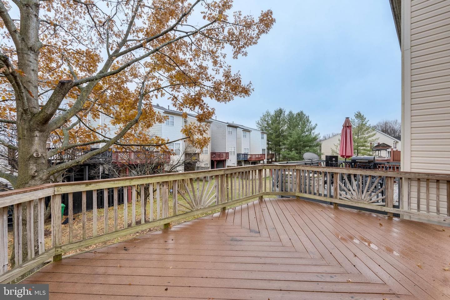 4113 Windflower Way photo 46