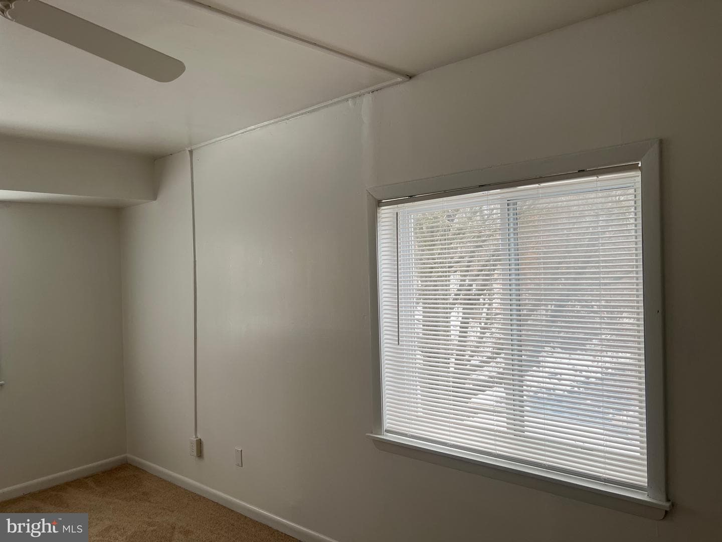 2301 Olson Street #303-A photo 13