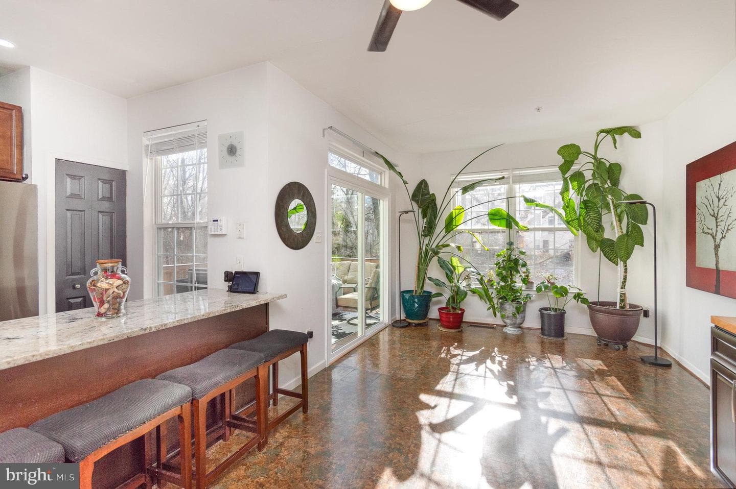 10123 Tulip Tree Drive photo 11