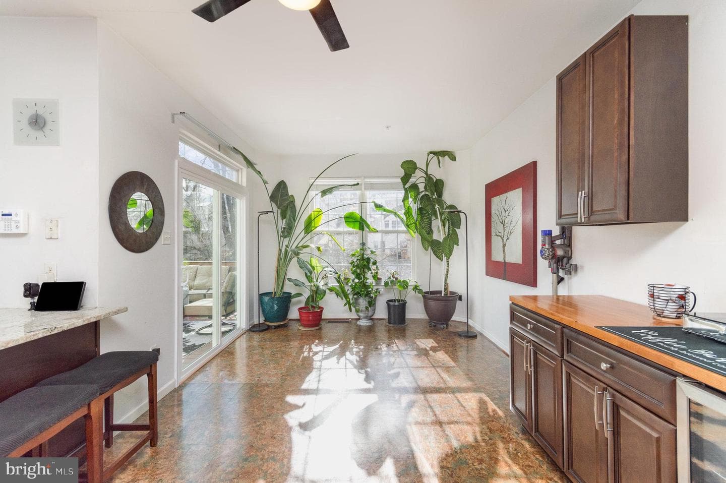 10123 Tulip Tree Drive photo 12