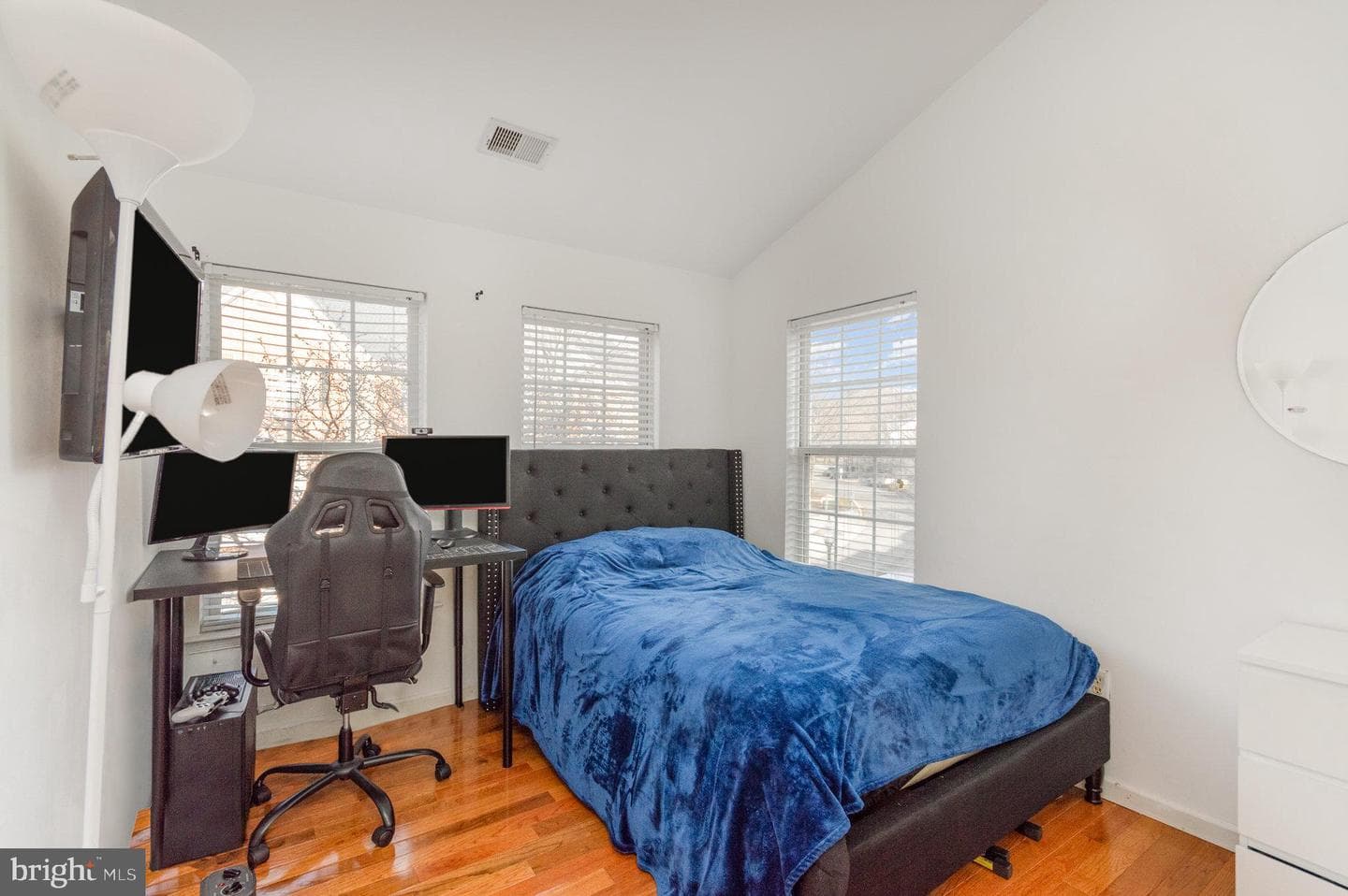 10123 Tulip Tree Drive photo 20
