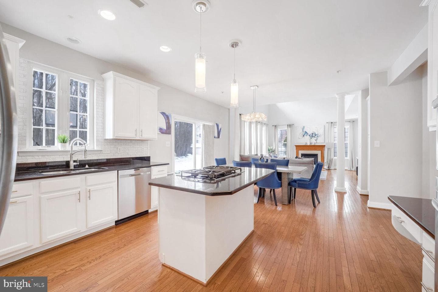 1705 Cinnamon Teal Way photo 19
