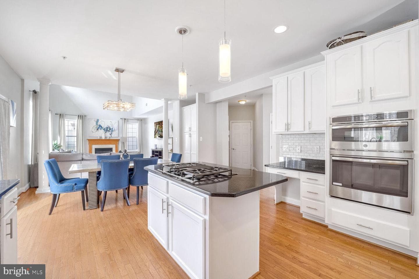 1705 Cinnamon Teal Way photo 20