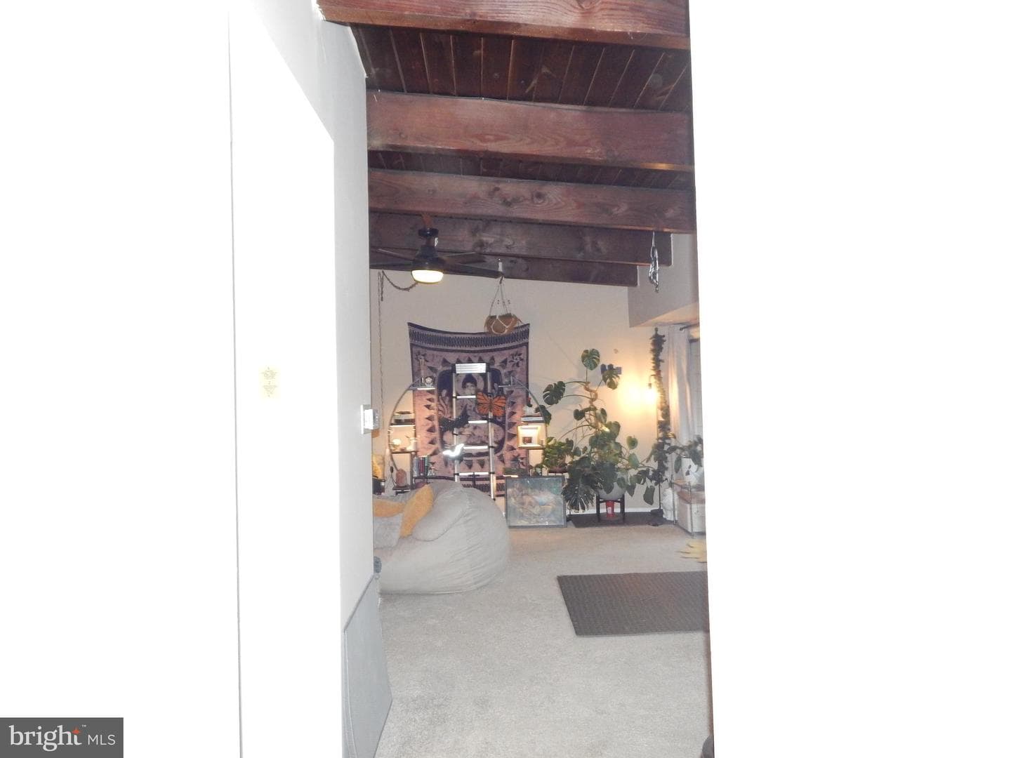 5548 Karen Elaine Drive #1429 photo 6