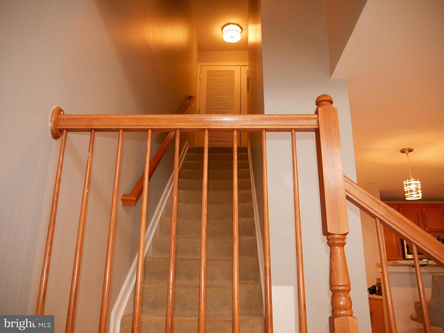 1019 Treeland Way #509 photo 12