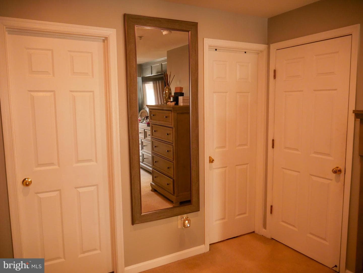1019 Treeland Way #509 photo 19