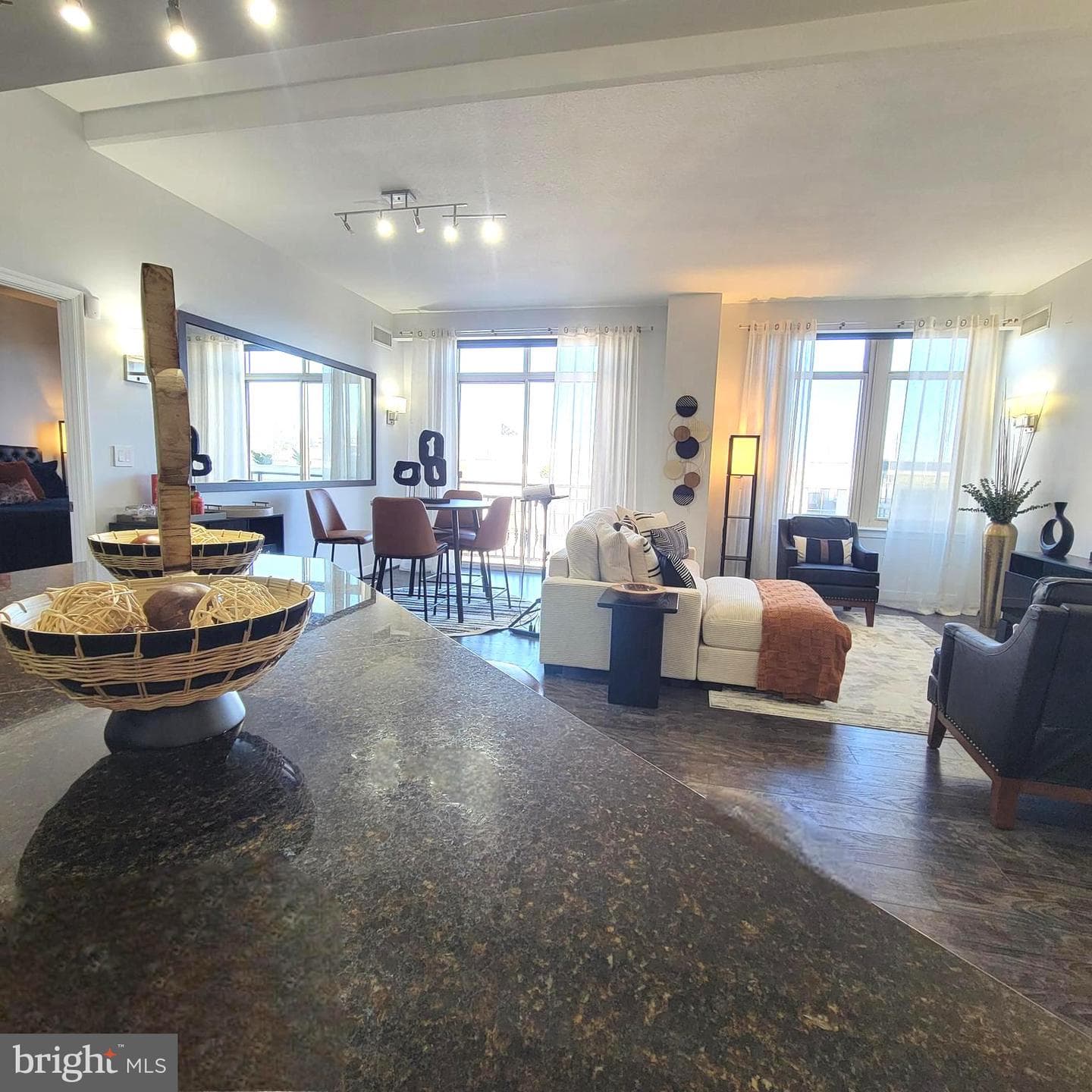 155 Potomac Passage #630 photo 5