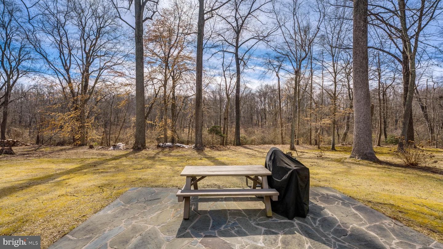 10205 Bald Hill Road photo 43