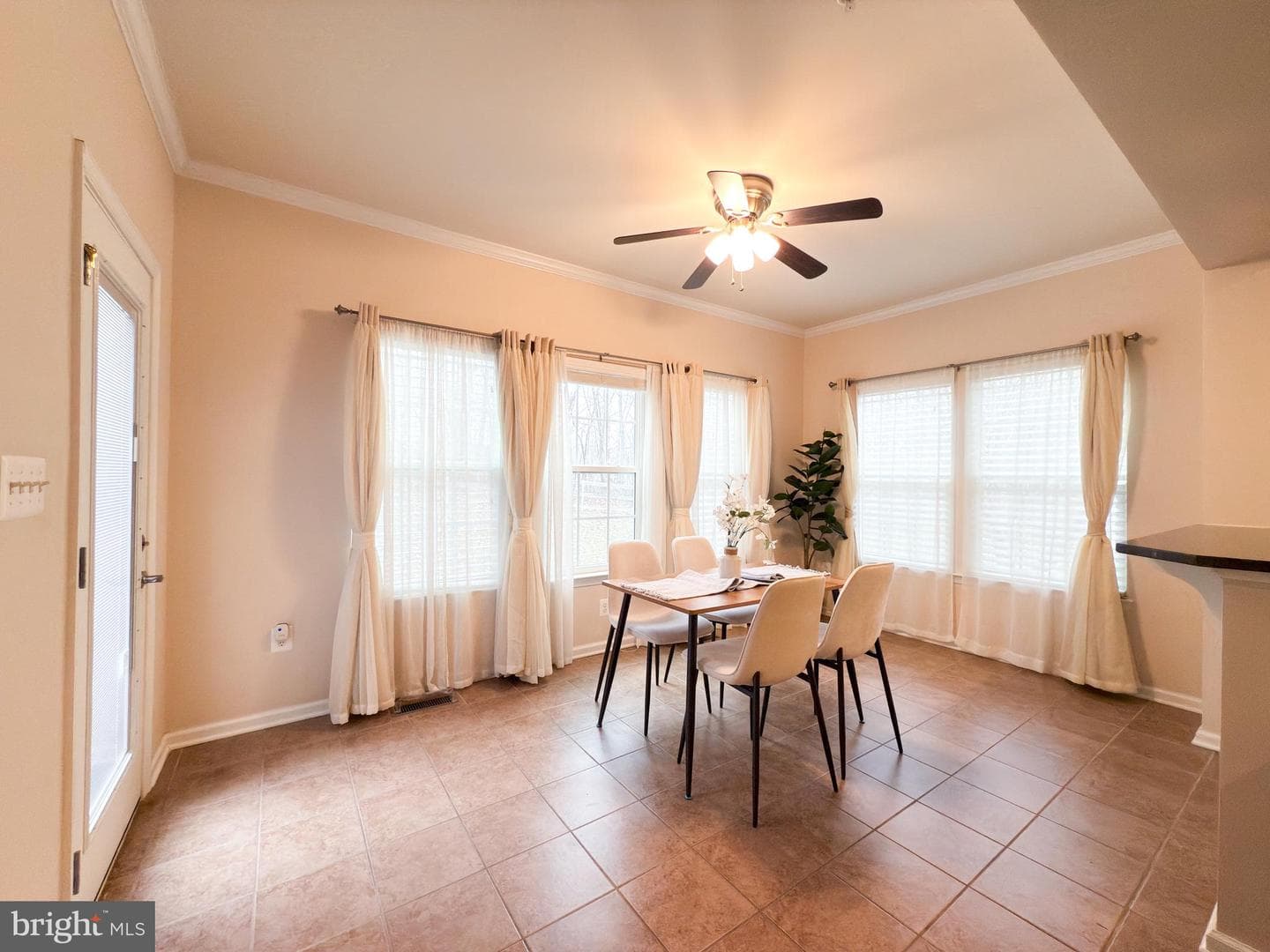 15613 Copper Beech Drive photo 13