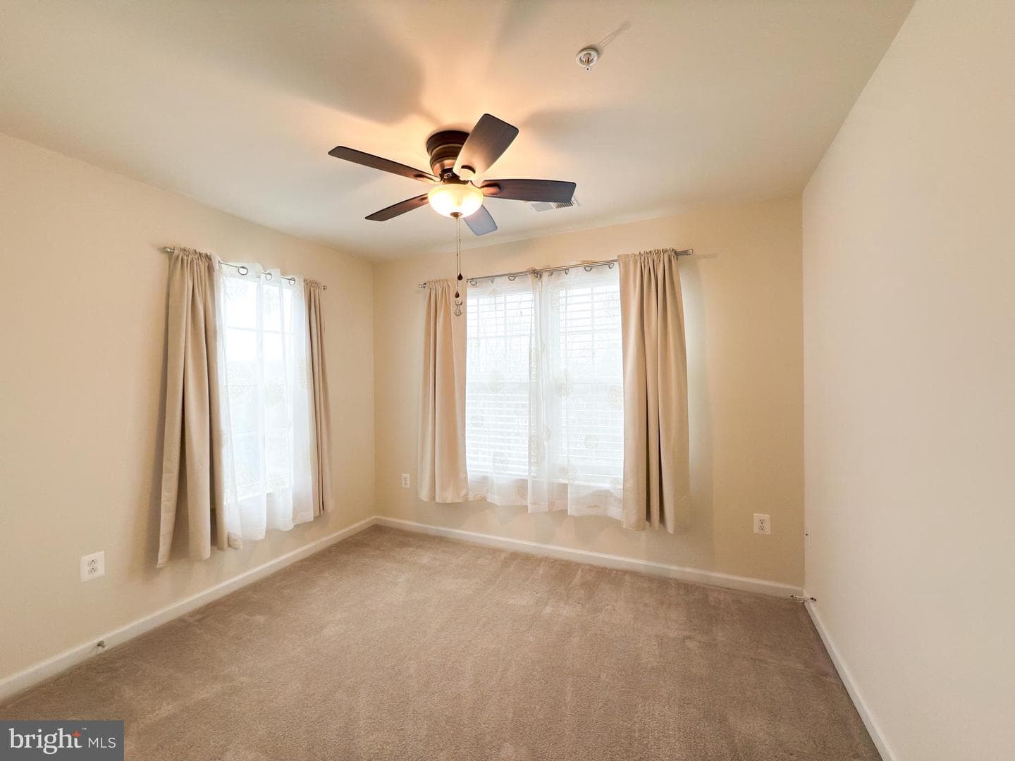 15613 Copper Beech Drive photo 50