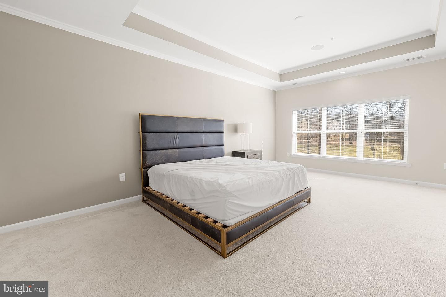 3840 Effie Fox Way photo 27