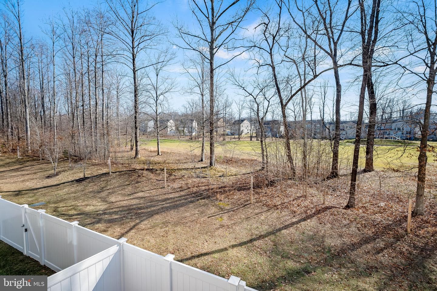 3840 Effie Fox Way photo 42