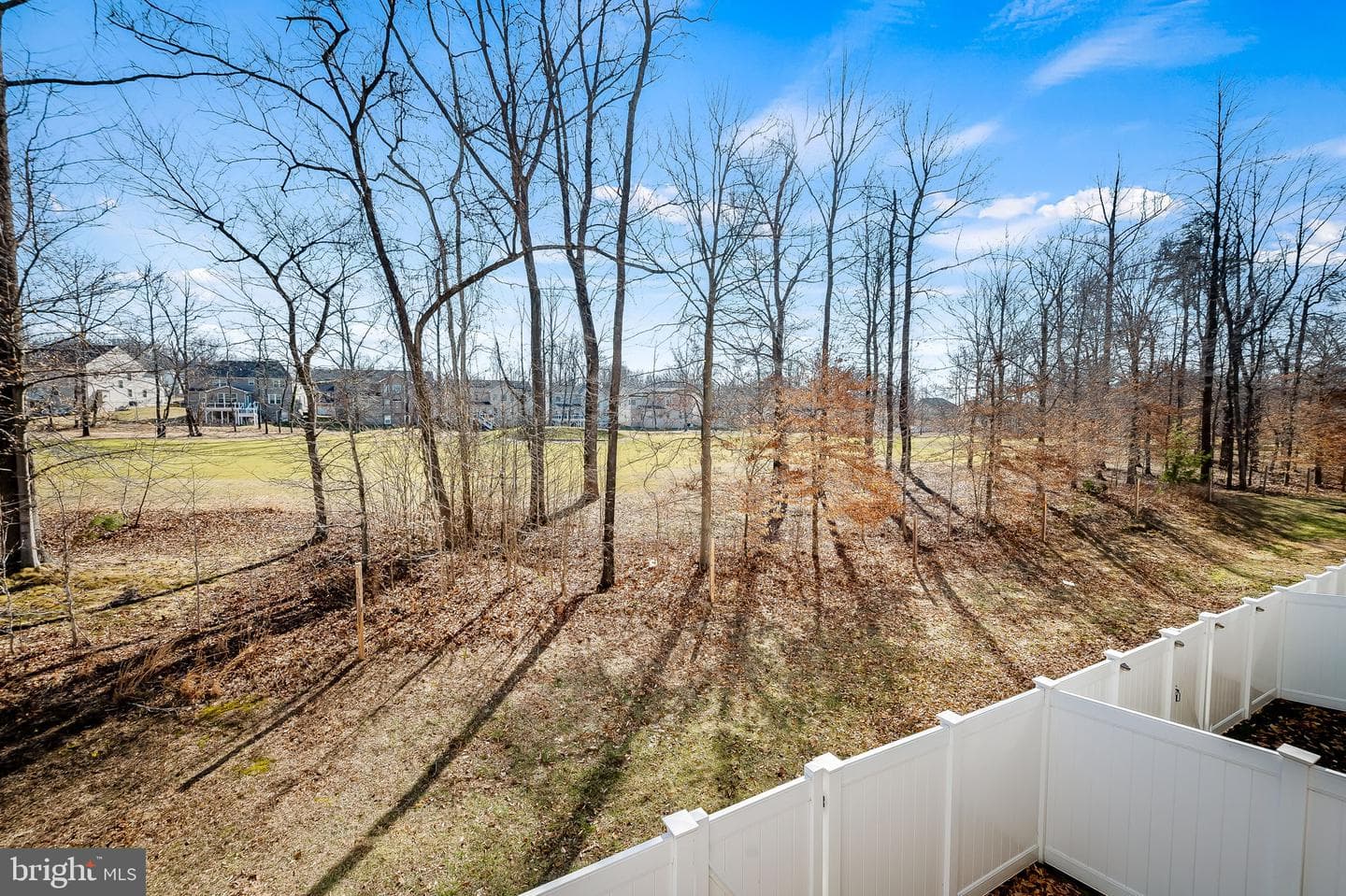 3840 Effie Fox Way photo 43