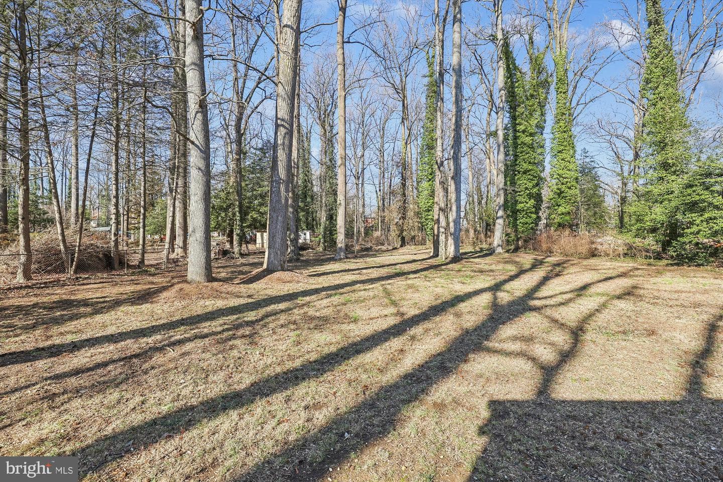 9010 Spring Avenue photo 35