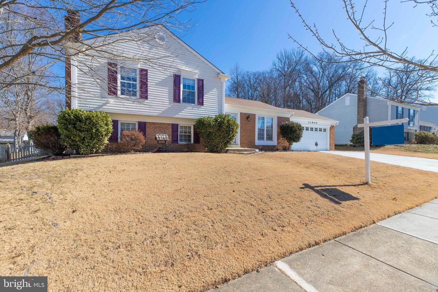 11905 Basswood Drive photo 3